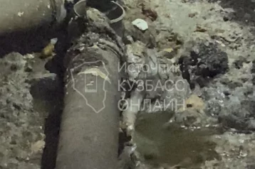Фото: Состояние ужасное: кемеровчане пожаловались на подвал с крысами 1