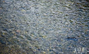 В Кузбассе сточные воды сливаются в лог у реки: прокуратура организовала проверку