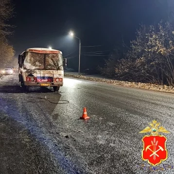 Фото: Пять человек пострадали в ДТП с автобусом и экскаватором в Кузбассе 1