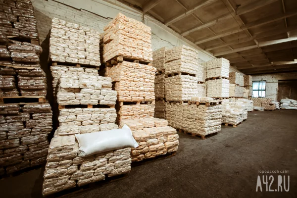 Из Кузбасса в Приморский край отгрузили почти 370 тонн кормовой пшеницы