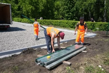 Фото: В Кемерове отремонтируют площадку для выгула собак на улице Дзержинского 3