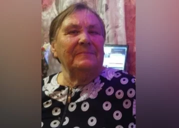 Фото: Волонтёры ищут пропавшую 81-летнюю жительницу Кемерова 1