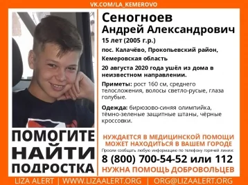 Фото: Волонтёры изменили ориентировку на пропавшего подростка в Кузбассе 1