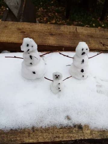Фото: Пользователи соцсетей показали фотографии первых снеговиков в Кузбассе 2