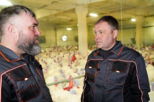 Илья Середюк: в Кузбассе за полгода в 8 раз выросло поголовье индейки