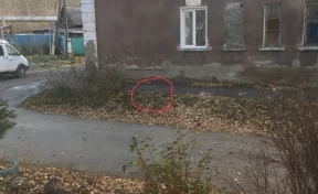 Появились подробности падения 4-летнего ребёнка в канализационный колодец в Кемерове