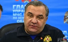 СМИ: экс-глава МЧС Пучков вызван на допрос в Следственный комитет