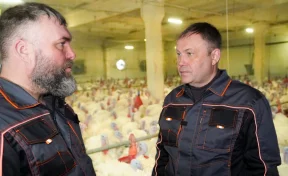 Илья Середюк: в Кузбассе за полгода в 8 раз выросло поголовье индейки