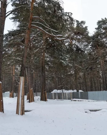 Фото: <a href=https://t.me/gazetakemerovo/30360>Александр Чаринцев </a>/ Телеграм