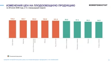 Фото: Кемеровостат: в Кузбассе за неделю подешевели огурцы, бананы и куриные яйца 1