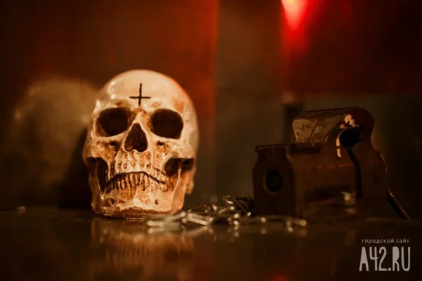 В игрушке Hello Kitty после рассказа ребёнка о призраке нашли череп женщины