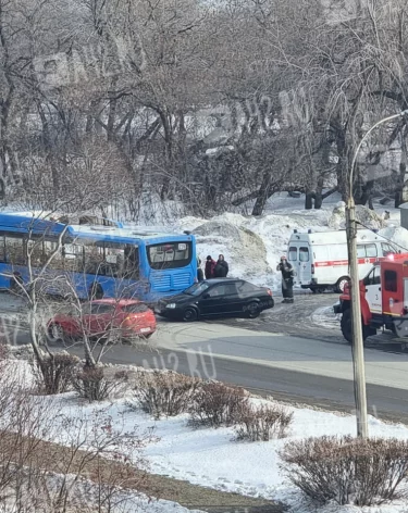 Фото, видео: A42.RU