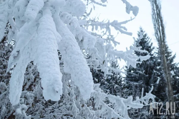 Спасатели нашли пропавшую тургруппу с детьми на Камчатке
