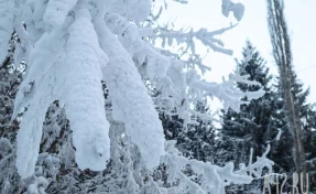 Спасатели нашли пропавшую тургруппу с детьми на Камчатке