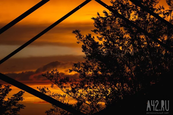 Синоптики прогнозируют избыток осадков в четырёх российских округах 