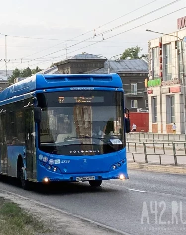 Фото: A42.RU