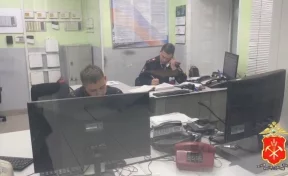 Жительнице Кузбасса грозит пожизненный срок за попытку сбыть 500 граммов спайса