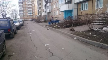 Фото: Кемеровчане возмущены грязными улицами и парками 1