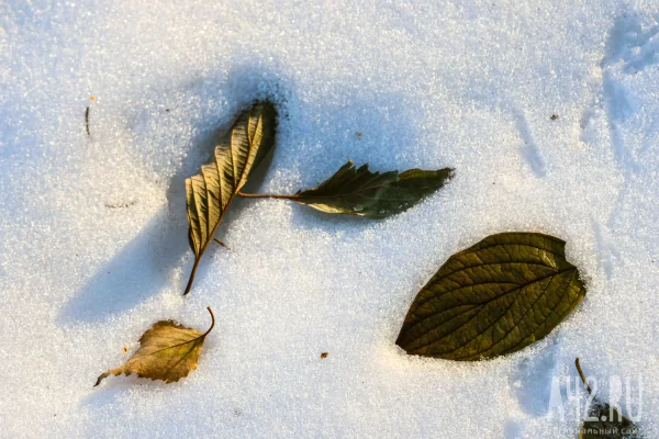 Температурный скачок от -25 до 0 ожидается в Кузбассе 9 февраля