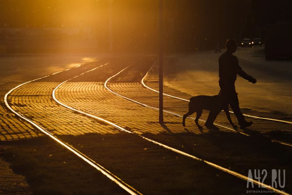 «Город умирает»: жители Осинников попросили губернатора заняться изношенными трамваями