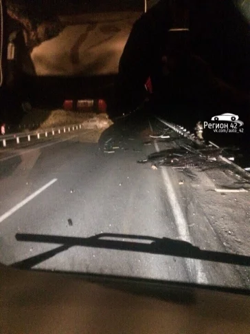 Фото: Соцсети: на кузбасской трассе два человека погибли в ДТП с иномаркой, «Газелью» и лосем 3