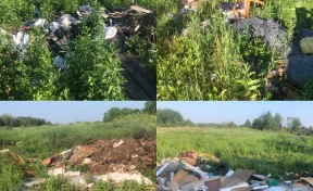 В Кузбассе по представлению прокуратуры вывезли 3 000 тонн мусора