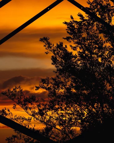 Синоптики прогнозируют избыток осадков в четырёх российских округах 