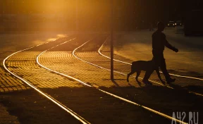 «Город умирает»: жители Осинников попросили губернатора заняться изношенными трамваями