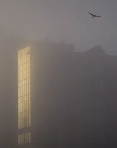 Фото: A42.RU