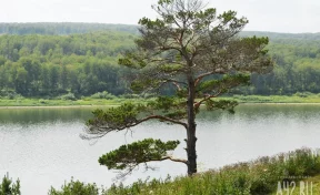 В Кузбассе в 2026 году появятся новые туристические направления