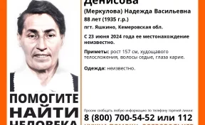 В Кузбассе начались поиски пропавшей 88-летней женщины