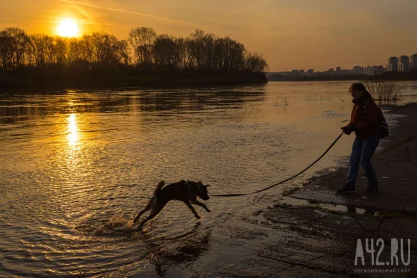 Синоптики дали прогноз погоды на 25 апреля в Кузбассе