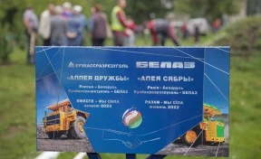 «Кузбассразрезуголь» и «БЕЛАЗ» заложили новую кедровую аллею в Кемерове