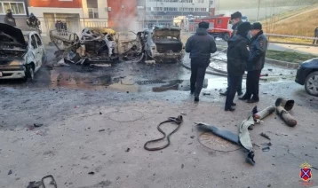 Фото: В Волгограде при возгорании четырёх машин во дворе дома погиб ребёнок 1