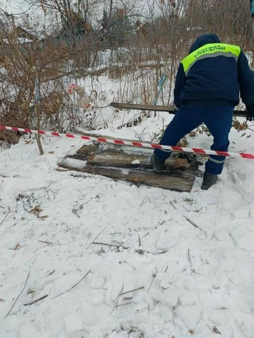 Фото: В Кемерове спасатели вытащили собаку из ямы в Рудничном бору 3