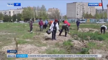 Фото: Вишнёвый сад в память о погибших в кемеровском ТЦ появился в Анапе 1