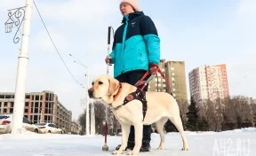 Глаза человека. Мы прошли по Кемерову с незрячей студенткой и собакой-поводырём