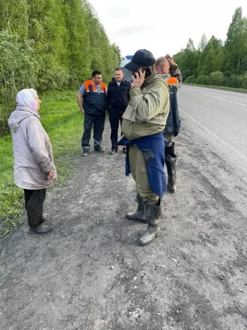 Фото: Жительница Кузбасса потерялась в лесу, собирая черемшу 2