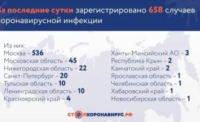 В России за сутки зарегистрировали 658 новых случаев заражения коронавирусом