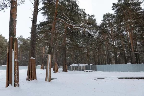 В Кемерове снесли старый корпус спортшколы в Рудничном бору