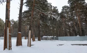 В Кемерове снесли старый корпус спортшколы в Рудничном бору