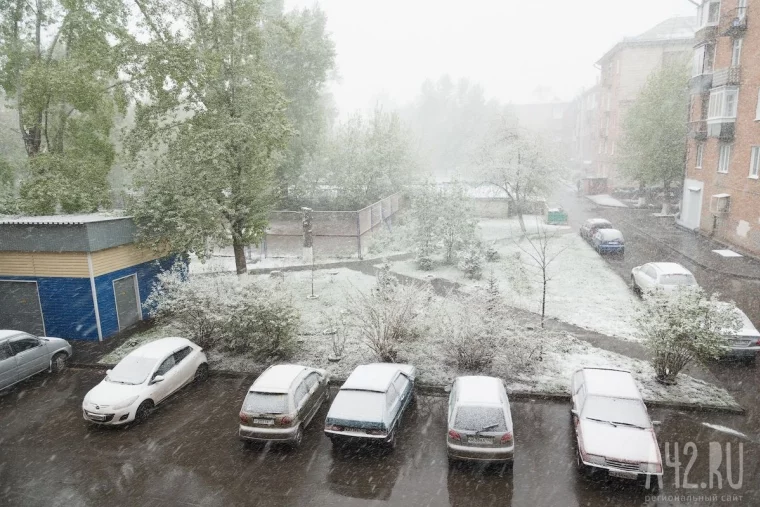 Фото: Майская метель: в Кемерове выпал снег 39