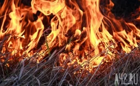 Кузбассовцы сняли на видео пожар у АЗС
