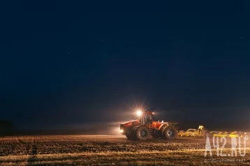 Фото: Илья Середюк: в Кузбассе в АПК направят 1,3 млрд рублей в 2025 году 1
