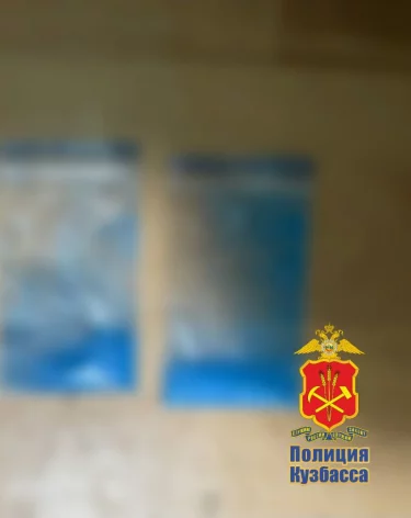 Фото: <a href=https://t.me/gumvd42/9789?single>ГУ МВД по Кемеровской области</a> / Telegram