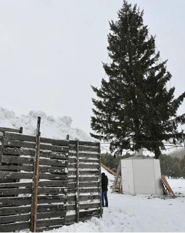 Мэр Белова ответил на главный ворос о ледовом городке на центральной площади
