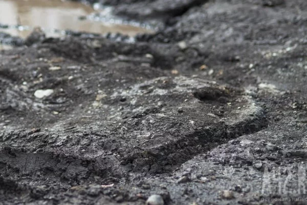 В Индии более 20 человек погибли из-за схода оползня 