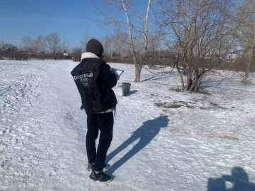 Фото: В Хакасии стая собак напала на восьмилетнюю девочку, которая шла в школу по парку 1