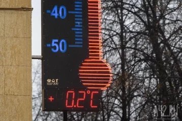 Фото: Кузбасские синоптики прокомментировали потепление в ноябре 1