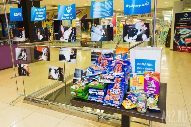Фото: Читатели А42.RU передали деньги и продукты в приют «Верный» 3